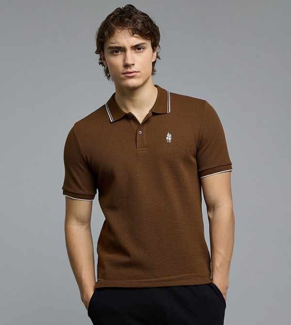 R&B Men - Brown Polo T-shirts