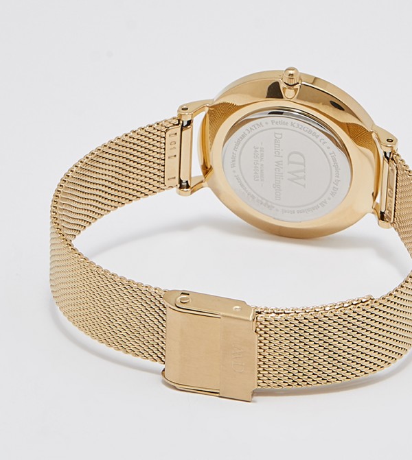 Daniel Wellington  - Gold Analog Watches