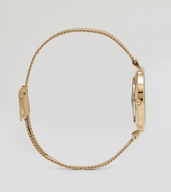 Daniel Wellington  - Gold Analog Watches