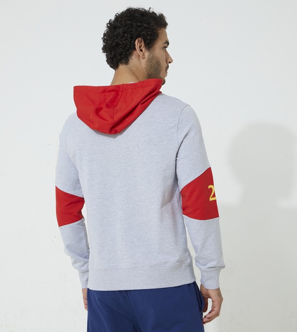 Aeropostale  Hoodies & Sweatshirts - Grey T-shirts