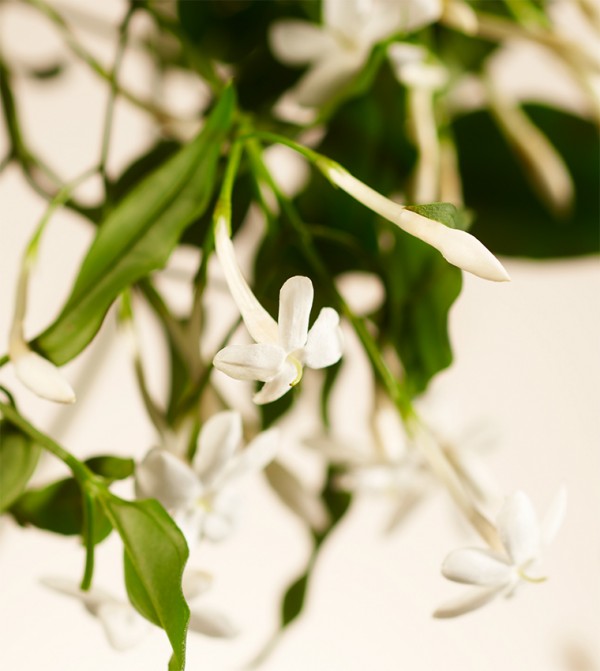 Rituals  - Beige Diffusers & Sprays