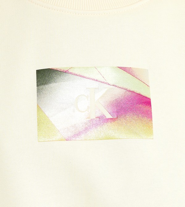 Calvin Klein Jeans  Hoodies & Sweatshirts - Beige Sweatshirts