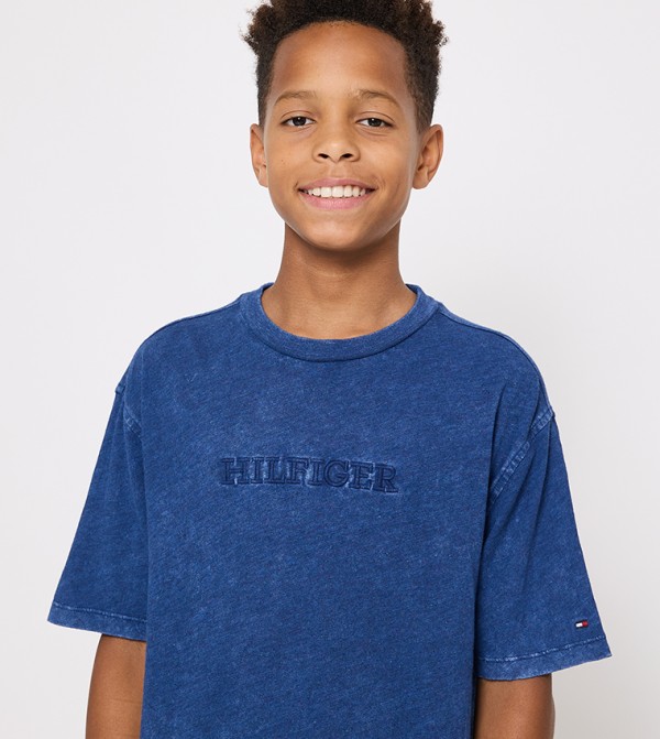 Tommy Hilfiger  Topwear - Blue T-shirts