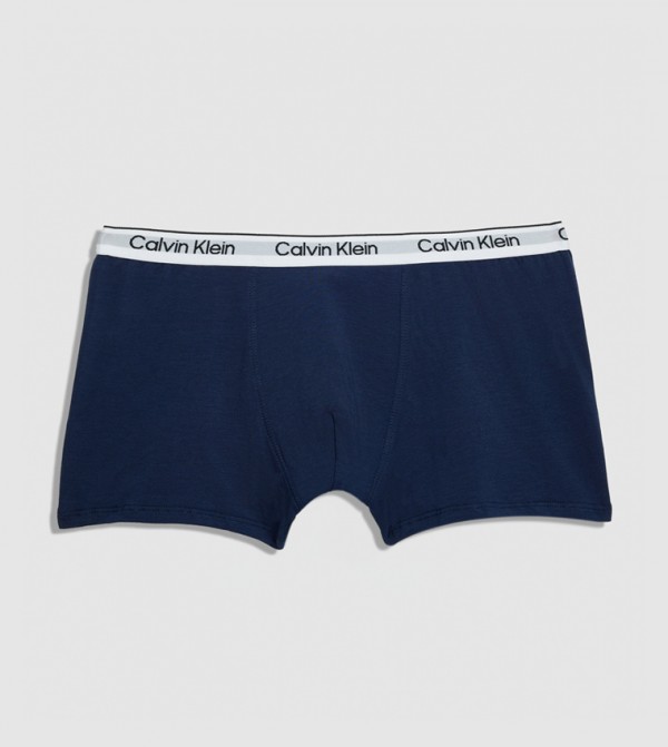 Calvin Klein  Inner Wear & Thermals - Multi Briefs & Boxers