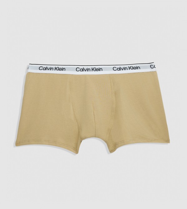 Calvin Klein  Inner Wear & Thermals - Multi Briefs & Boxers