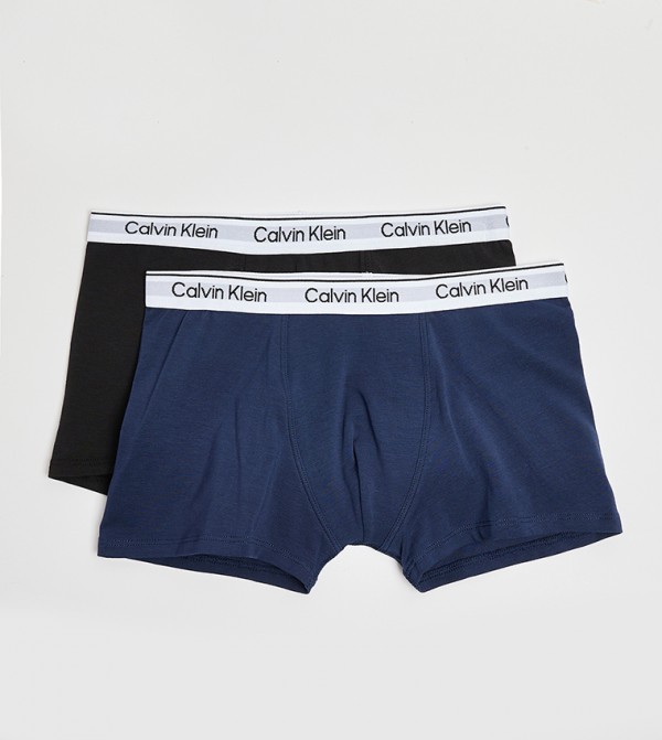 Calvin Klein  Inner Wear & Thermals - Multi Briefs & Boxers