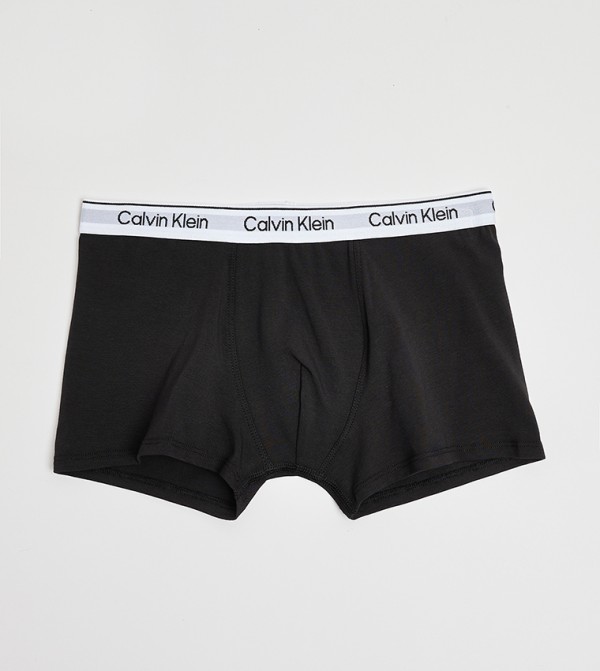 Calvin Klein  Inner Wear & Thermals - Multi Briefs & Boxers