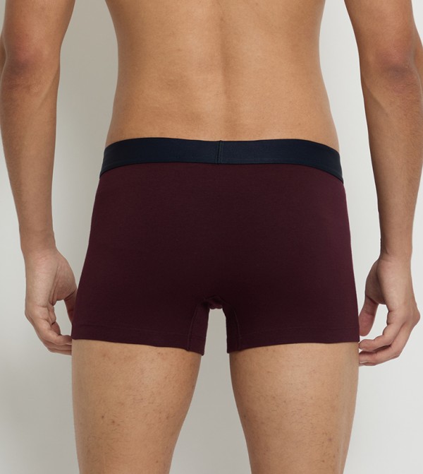 تومي هيلفيغر  - متعدد سراويل داخلية