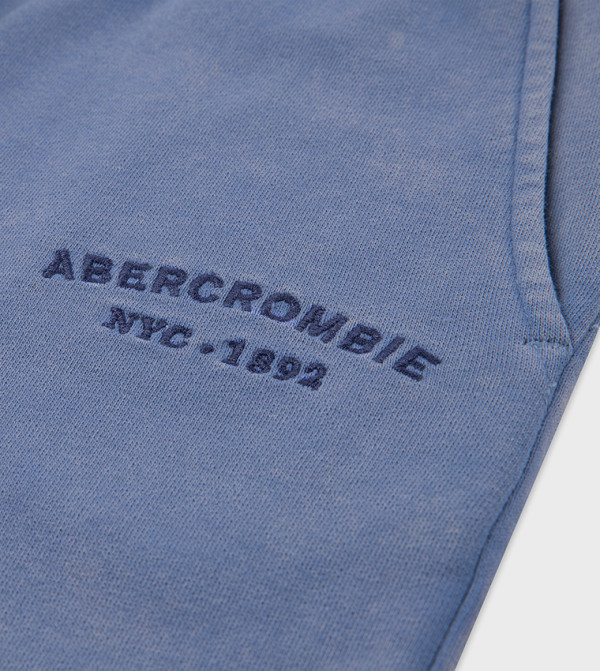 Abercrombie & Fitch  Shorts - Blue Shorts