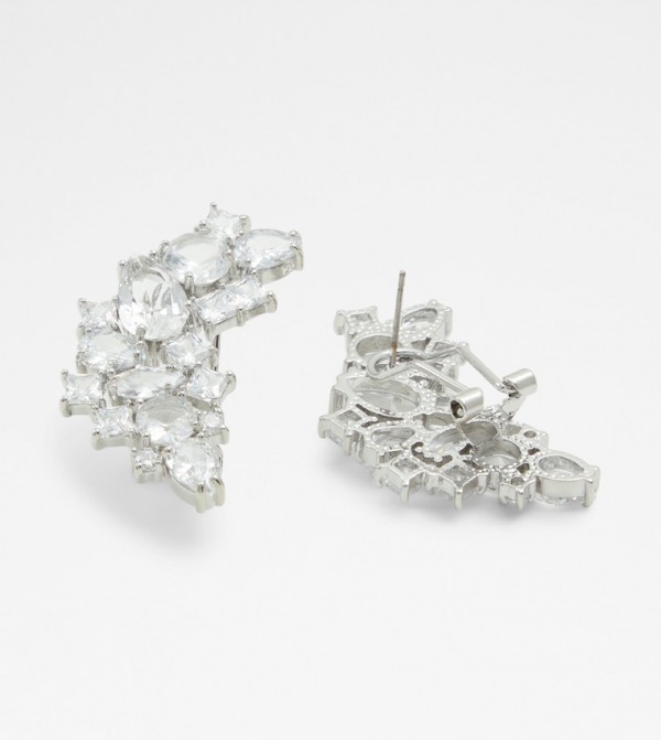 Aldo Accessories  Jewellery - Silver Earrings