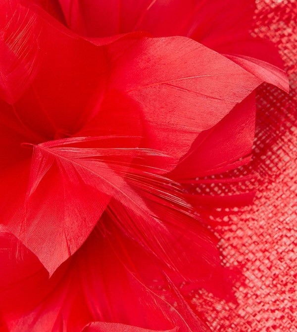 Coast  Hair Accessories - Red undefined
