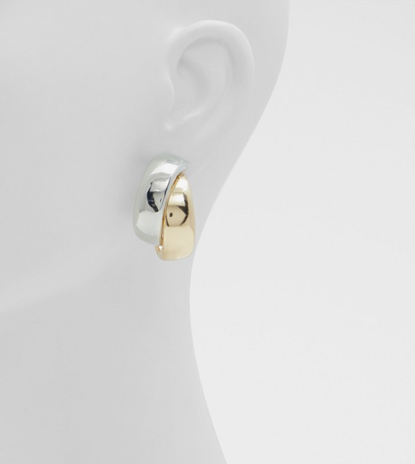 Aldo Accessories  Jewellery - Multi Earrings