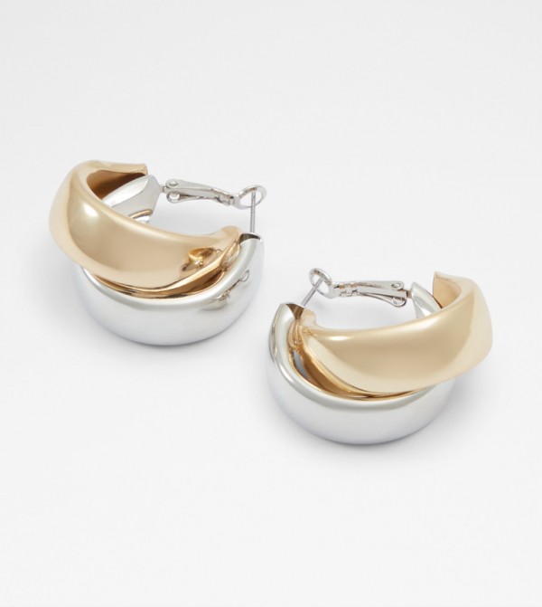 Aldo Accessories  Jewellery - Multi Earrings