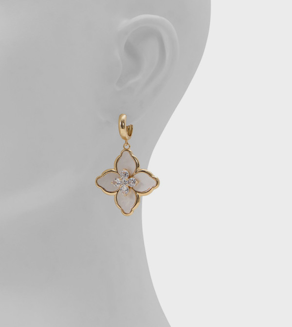 Aldo Accessories Jewellery - Multi Earrings