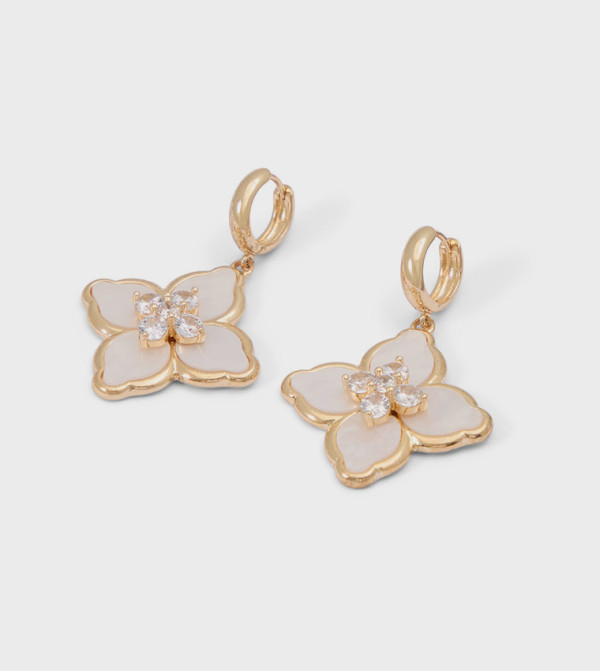 Aldo Accessories Jewellery - Multi Earrings