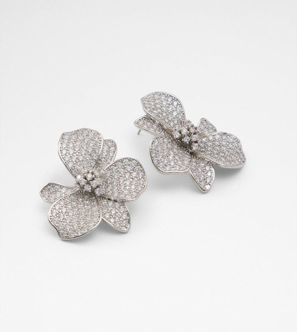 Aldo Accessories  Earrings - Silver Earrings