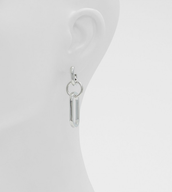 Aldo Accessories  Jewellery - Silver Earrings