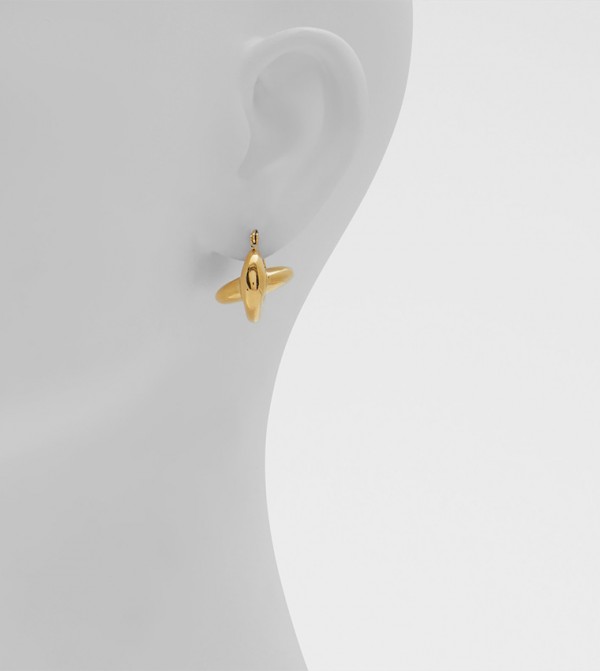 Aldo Accessories  one the originals ss25 - Gold Earrings