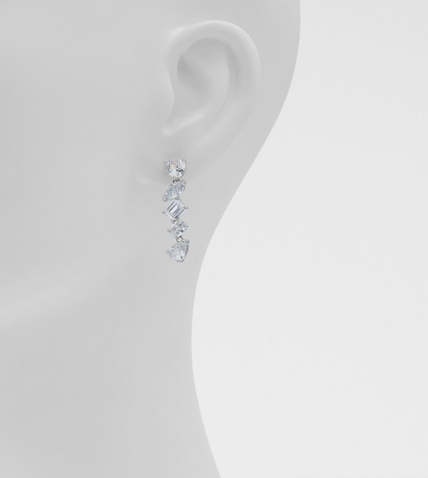 Aldo Accessories  Jewellery - Silver Earrings