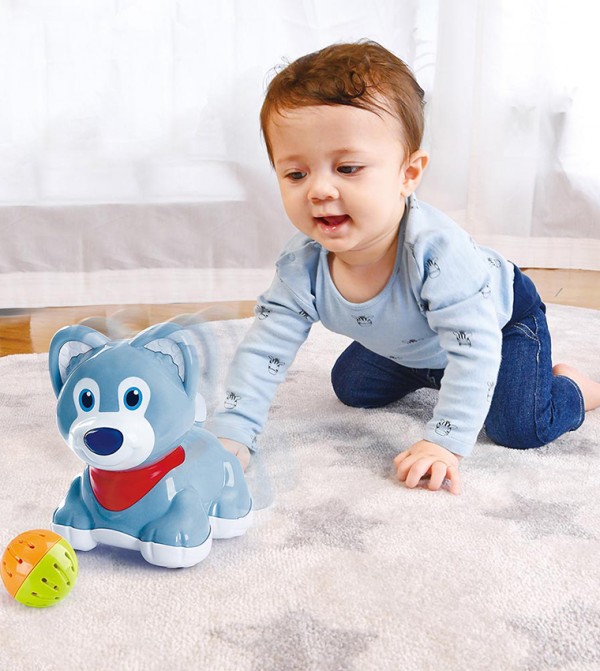 PlayGo  - Multi Learning TOYS