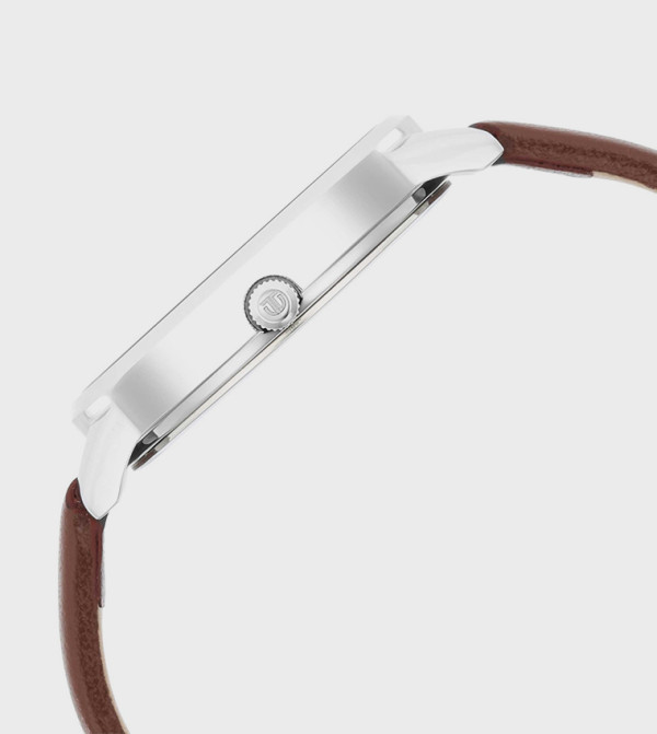 Titan  - Brown Analog Watches