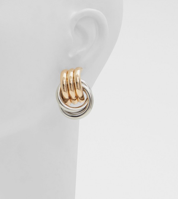 Aldo Accessories  Jewellery - Multi Earrings