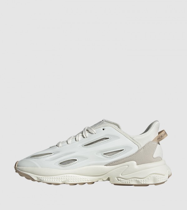 Adidas Originals  - White Low Top