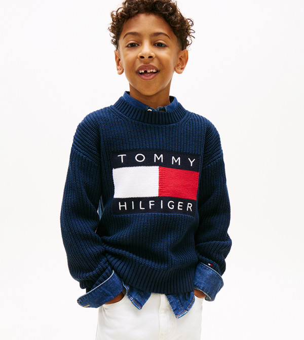 Tommy Hilfiger Sweaters & Cardigans - DARK NAVY Sweaters & Cardigans