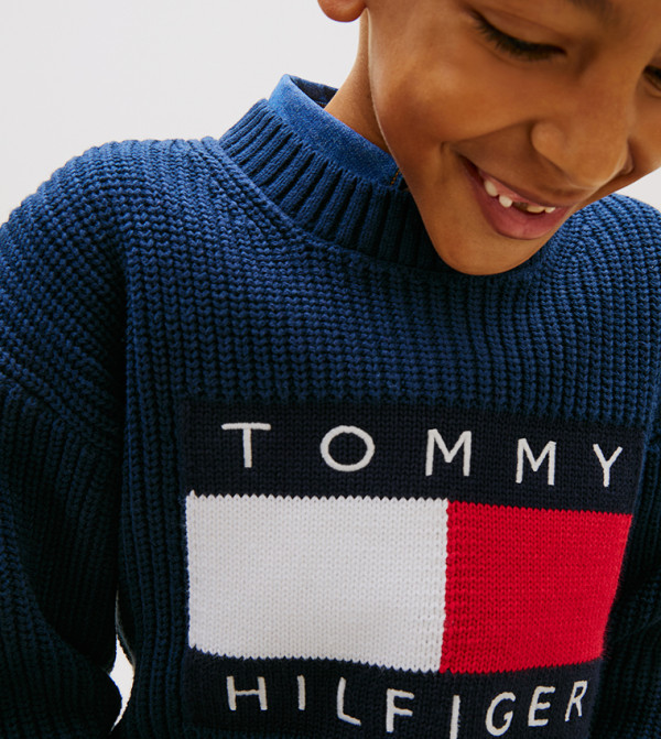 Tommy Hilfiger Sweaters & Cardigans - DARK NAVY Sweaters & Cardigans