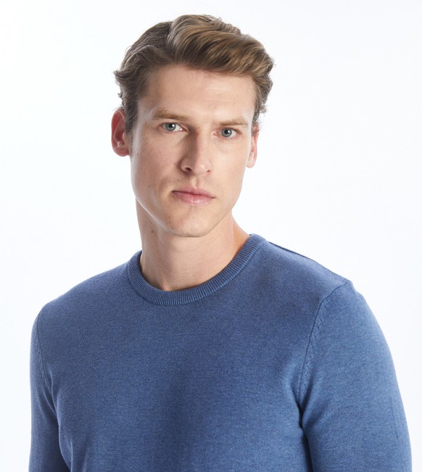 LC Waikiki  Sweaters & Cardigans - Blue Round Neck Sweaters