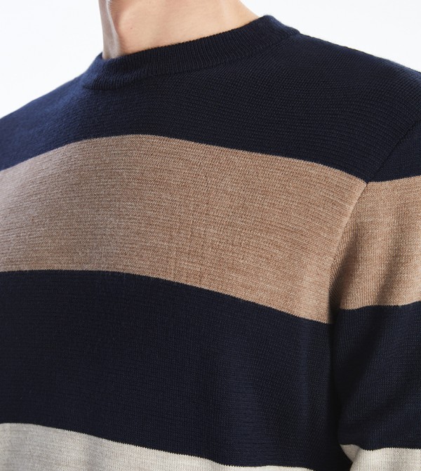 LC Waikiki LC Waikiki - Multi Round Neck Sweaters