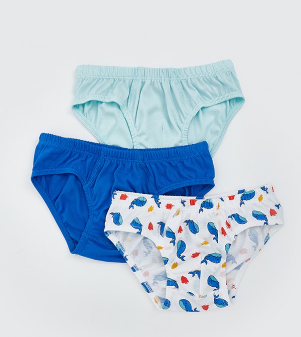 LC Waikiki  Inner Wear & Thermals - Multi Briefs & Boxers