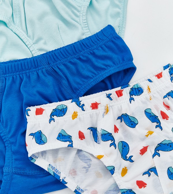 LC Waikiki  Inner Wear & Thermals - Multi Briefs & Boxers