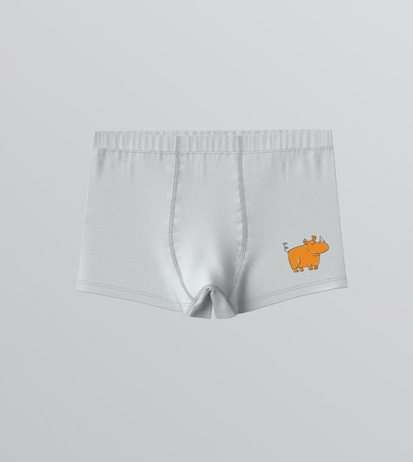 LC Waikiki Inner Wear & Thermals - Off White Briefs & Boxers