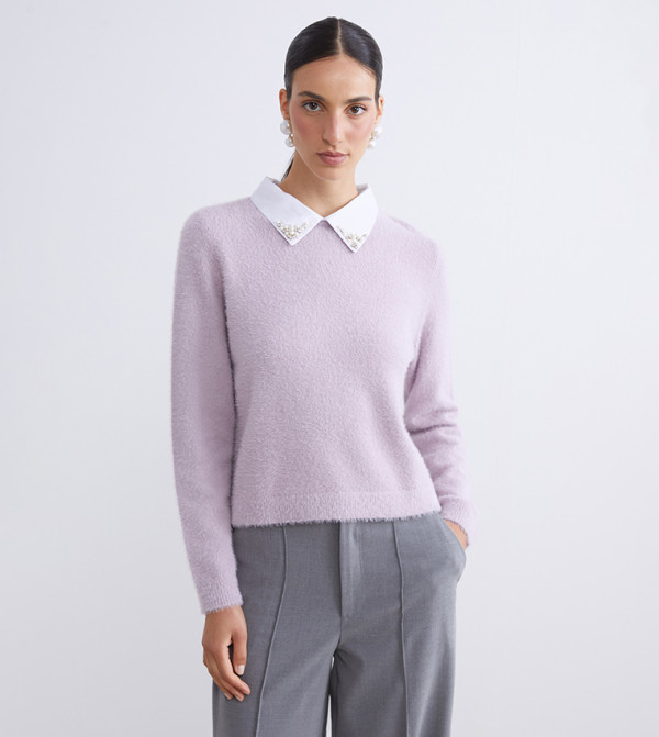 LC Waikiki  Sweaters - Lilac Round Neck Sweaters