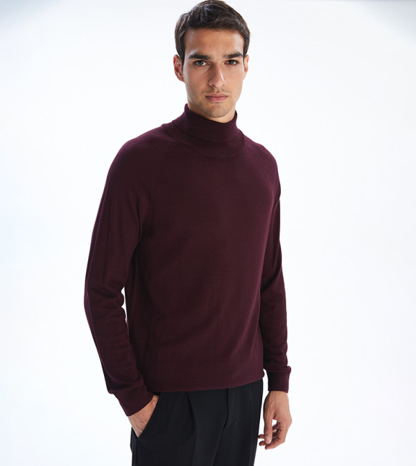 LC Waikiki  Clothing - Maroon Turtle neck Sweaters
