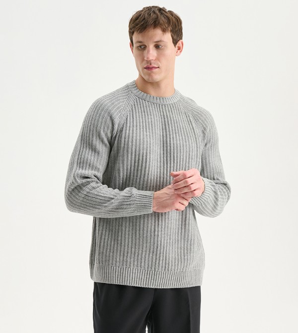 LC Waikiki  Sweaters & Cardigans - Grey Round Neck Sweaters