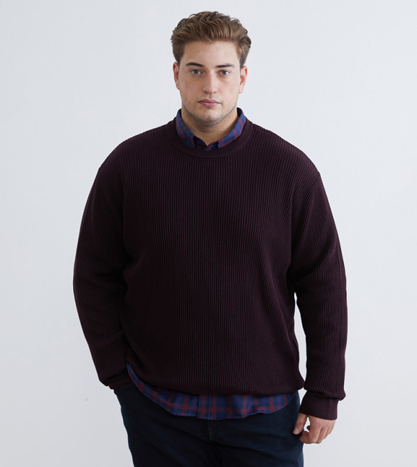 LC Waikiki  Round Neck Sweaters - Purple Round Neck Sweaters