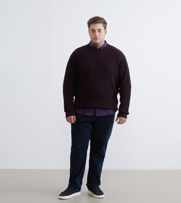 LC Waikiki  Round Neck Sweaters - Purple Round Neck Sweaters