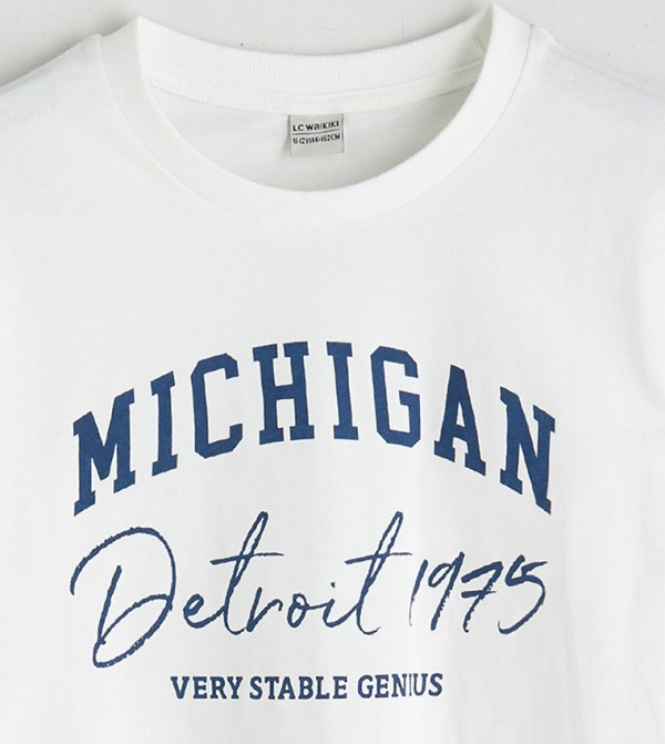 LC Waikiki  Topwear - Beige T-shirts