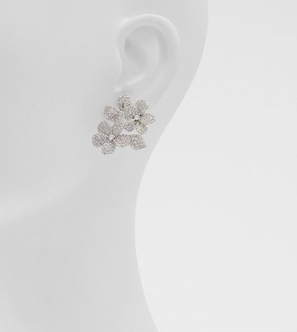 Aldo Accessories  Jewellery - Silver Earrings