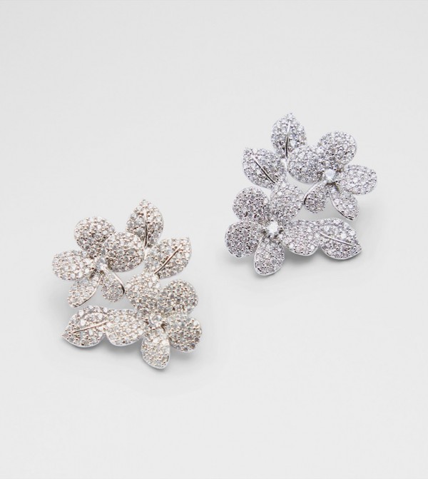 Aldo Accessories  Jewellery - Silver Earrings