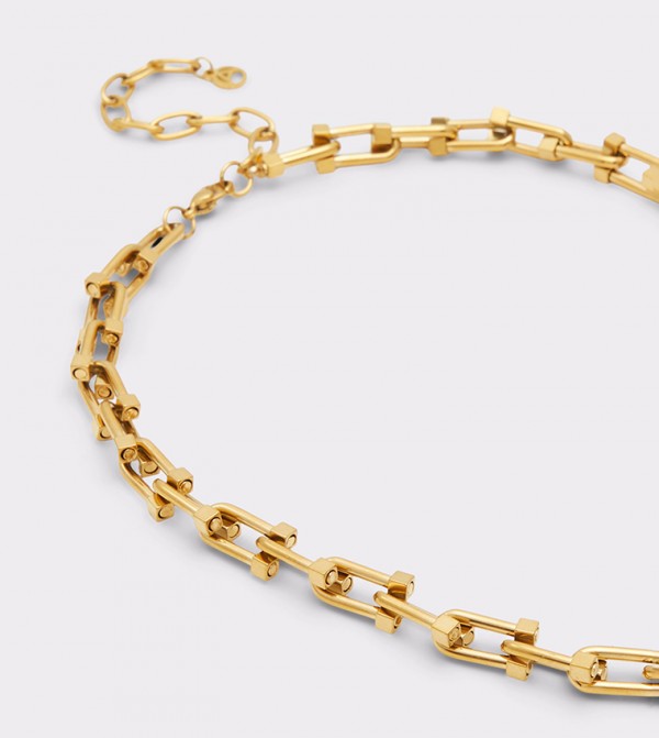 Aldo Accessories  Jewellery - Gold Necklaces & Pendants