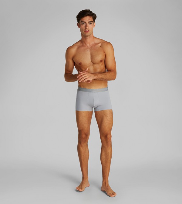 Calvin Klein  Clothing - Grey Trunks & Briefs