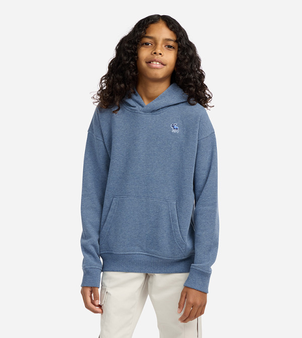 Abercrombie & Fitch  - Indigo Hoodies