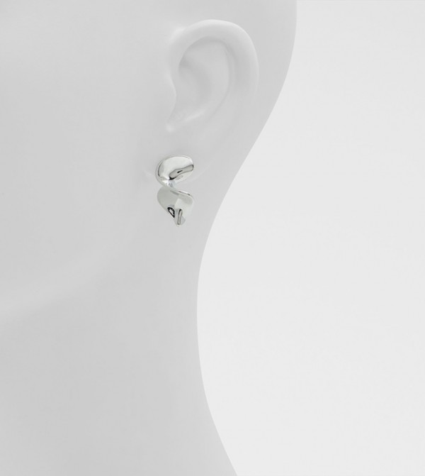 Aldo Accessories  Jewellery - Silver Earrings