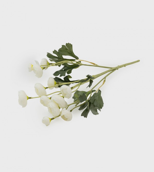 Candlelight  - White undefined