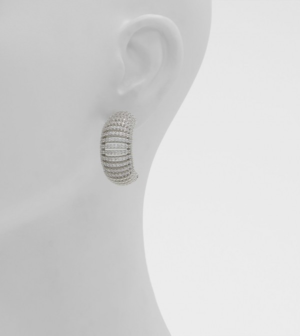 Aldo Accessories  Jewellery - Silver Earrings