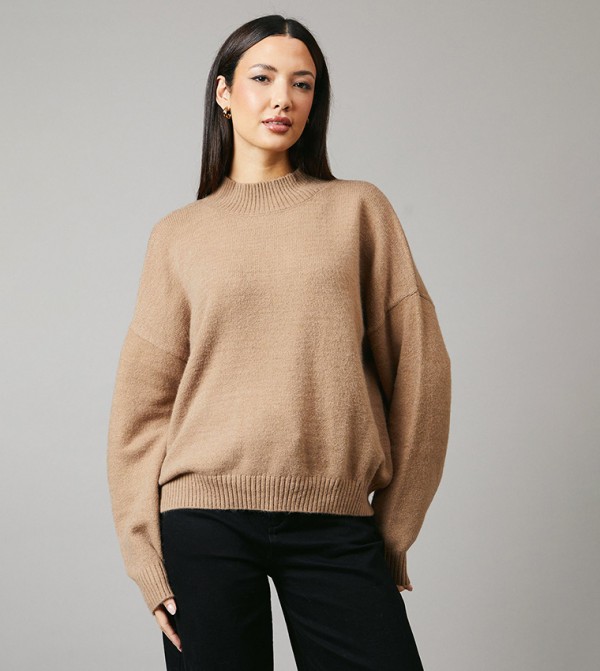 Principles Principles - Brown Round Neck Sweaters