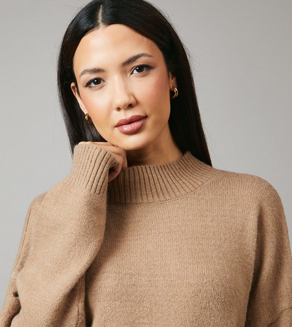 Principles Principles - Brown Round Neck Sweaters